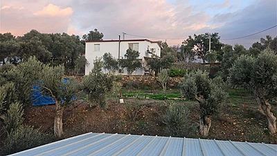Milas Beyciler'de 900 m² Arsada 100 Zeytinli Müstakil Villa
