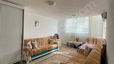 Milas Beyciler'de 900 m² Arsada 100 Zeytinli Müstakil Villa