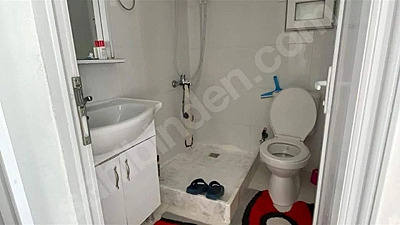 Milas Beyciler'de 900 m² Arsada 100 Zeytinli Müstakil Villa