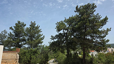 Kisebükü'nde Çam Ormanı İçinde Özel Havuzlu 3+1 Müstakil Villa
