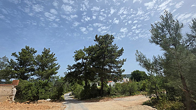 Kisebükü'nde Çam Ormanı İçinde Özel Havuzlu 3+1 Müstakil Villa